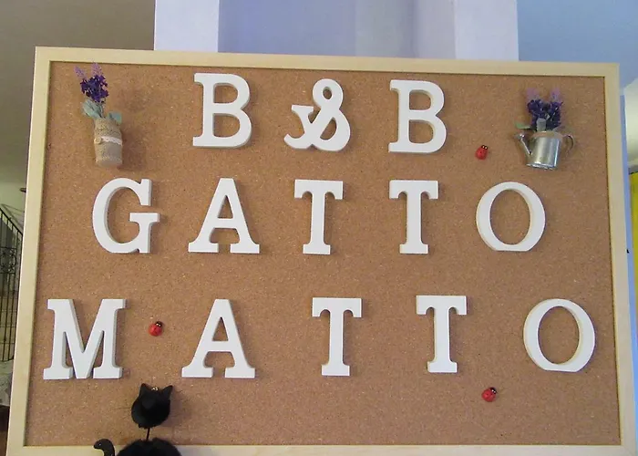 Gatto Matto