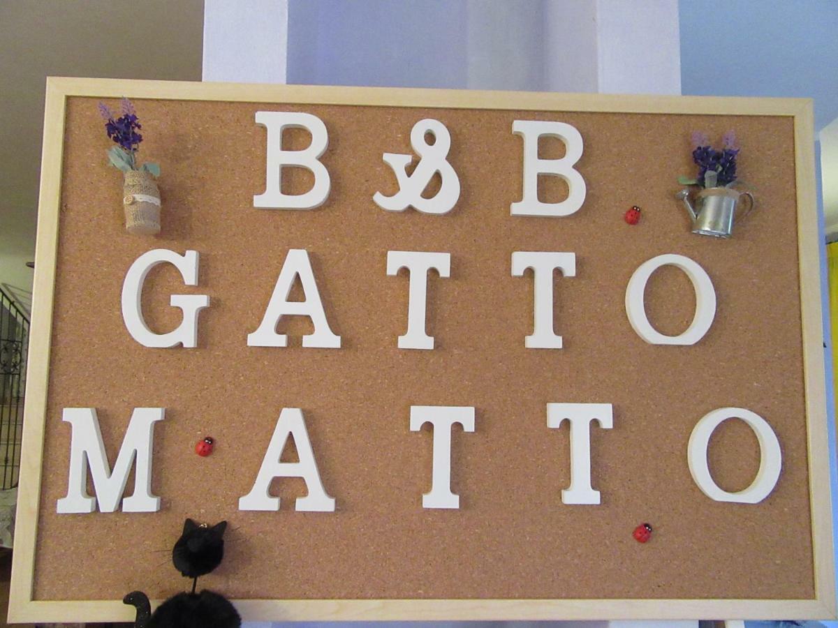 Gatto Matto *